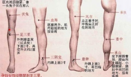 腿部按摩手法视频教程,轻松掌握专业按摩手法